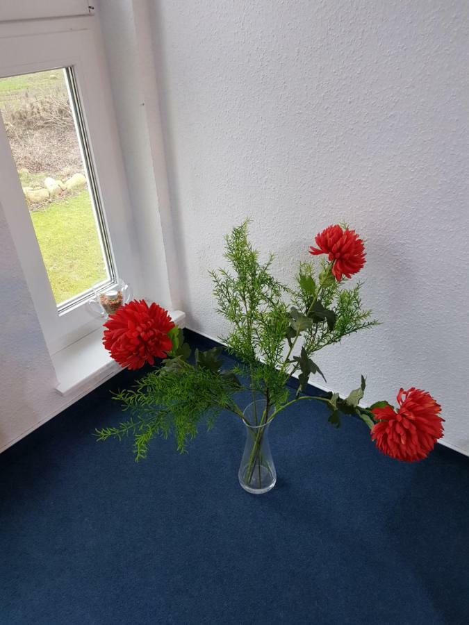 Da Ferienwohnungen Bargischow Exteriör bild